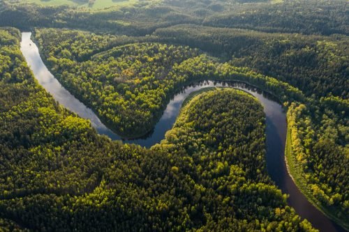 amazonas